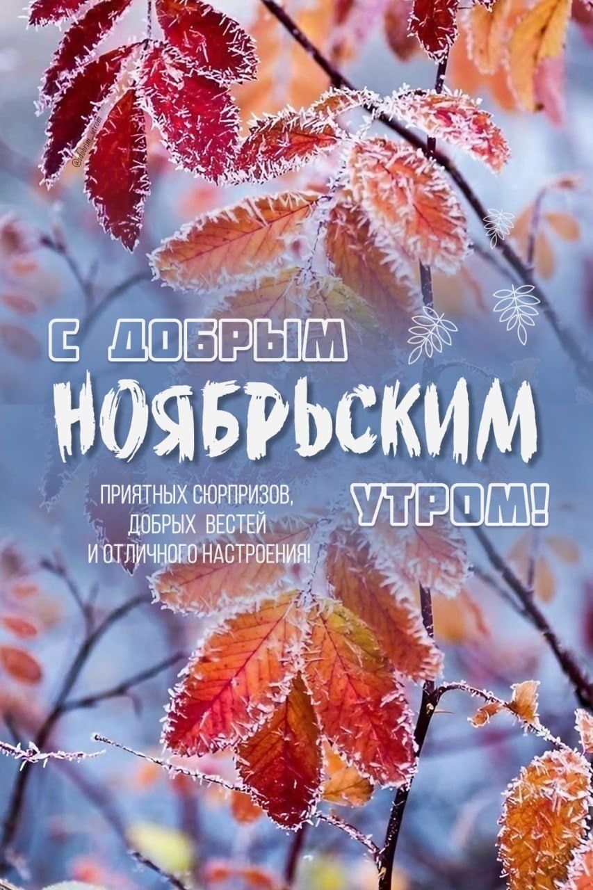 С ДОБРЫМ НОЯБРЬСКИМ УТРОМ! ПРИЯТНЫХ СЮРПРИЗОВ, ДОБРЫХ ВЕСТЕЙ И ОТЛИЧНОГО НАСТРОЕНИЯ!