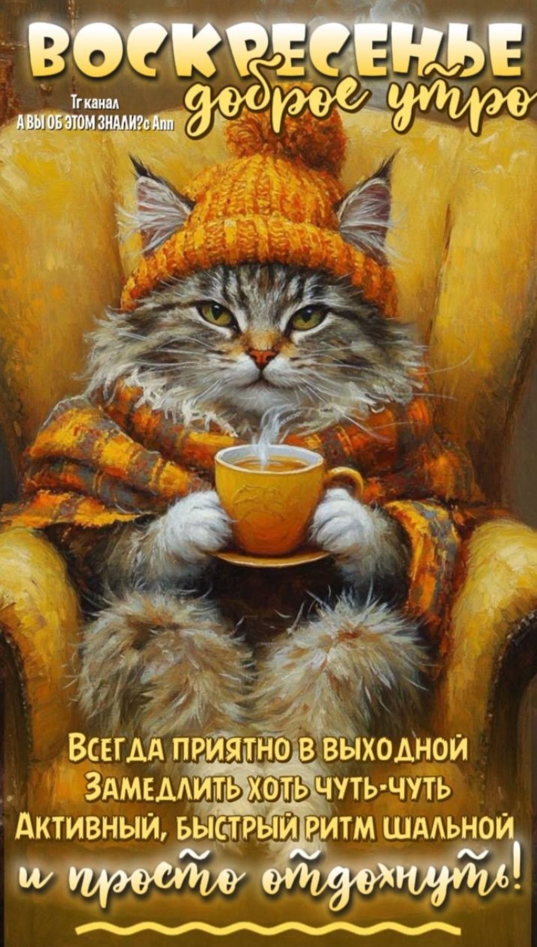 ВОСКРЕСЕНЬЕ доброе утро Ткань? Всегда приятно в выходной Замедлить хоть чуть-чуть Активный, быстрый ритм шальной и просто отдохнуть!