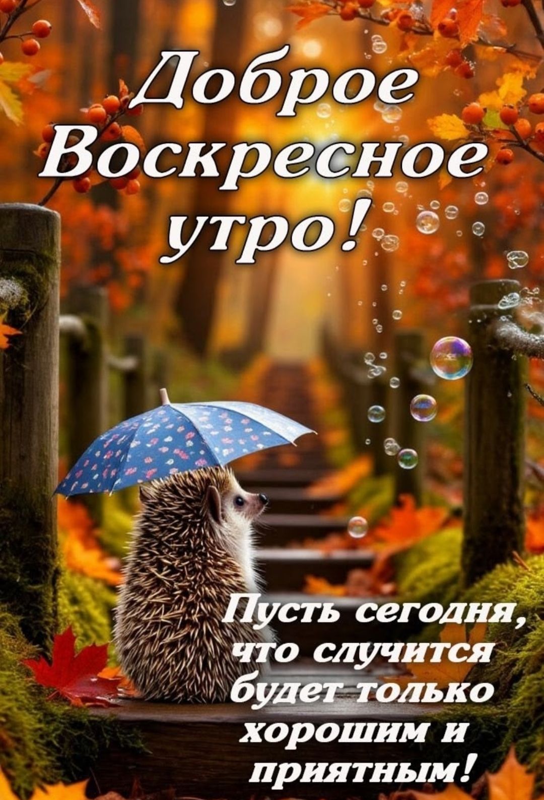 Доброе Воскресное утро! Пусть сегодня, что случится, будет только хорошим и приятным!