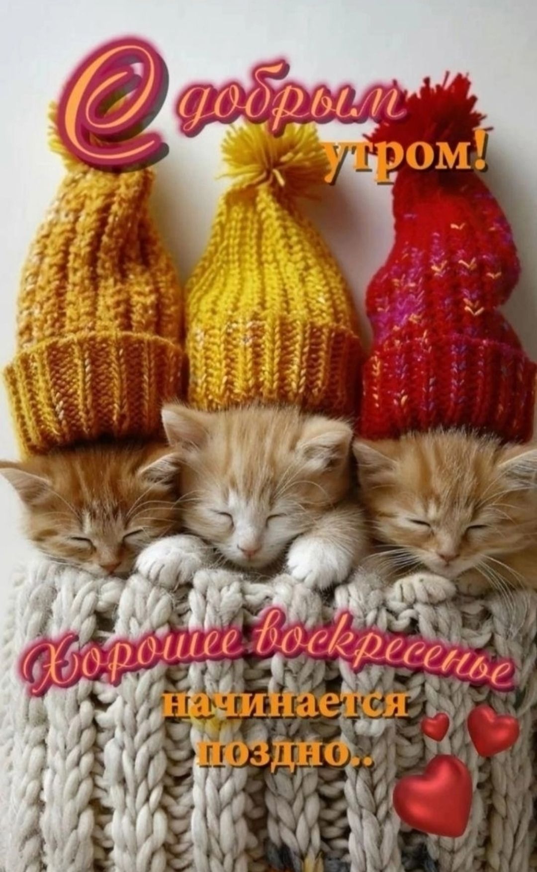 С добрым утром! Хорошее воскресенье начинается позади,