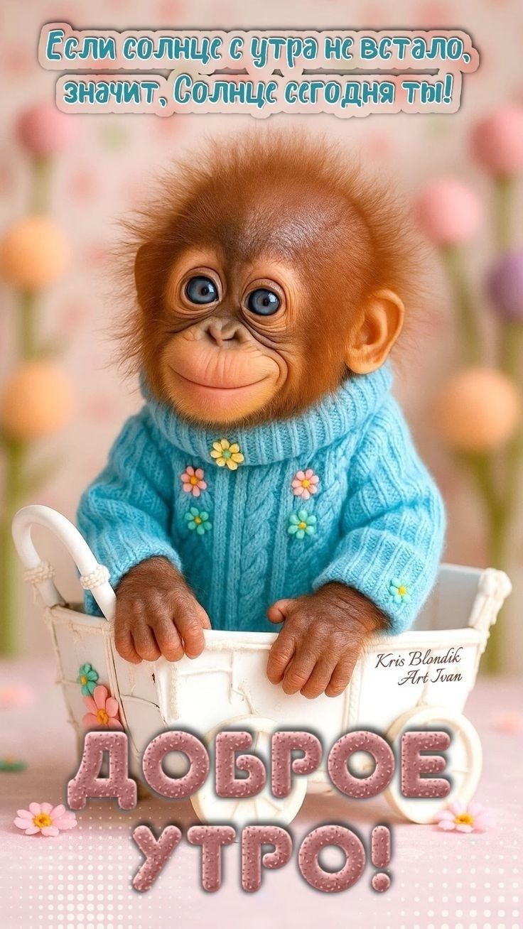 Если солнце с утра не встало, значит, Солнце сегодня ты!\nДоброе утро!