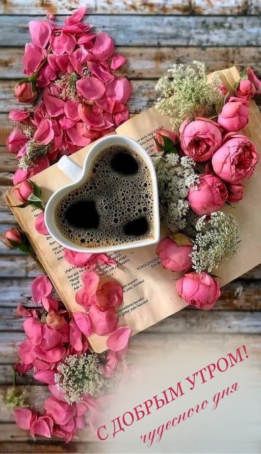 С ДОБРЫМ УТРОМ! чудесного дня