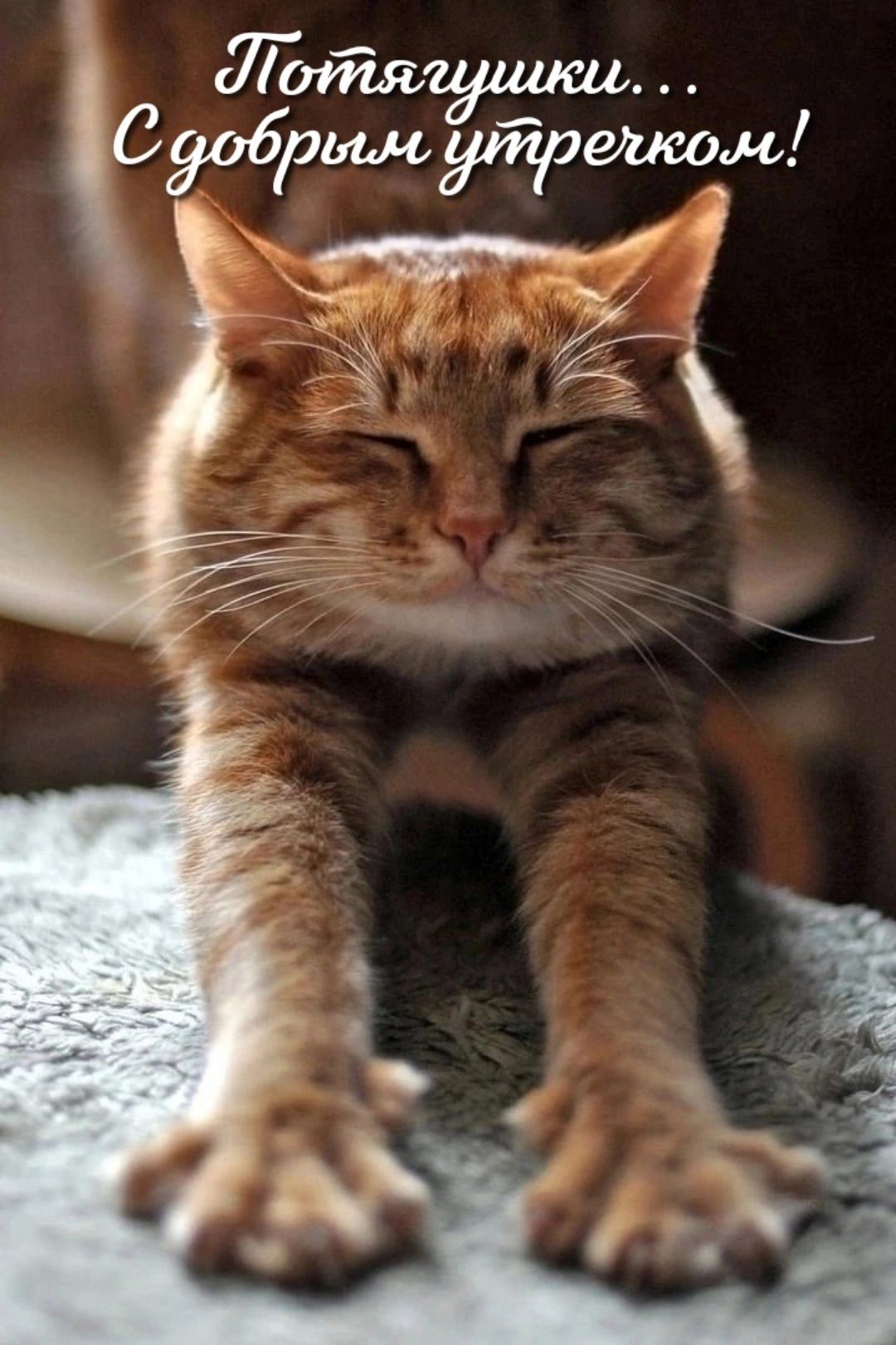 Потягушуки... С добрым утречком!