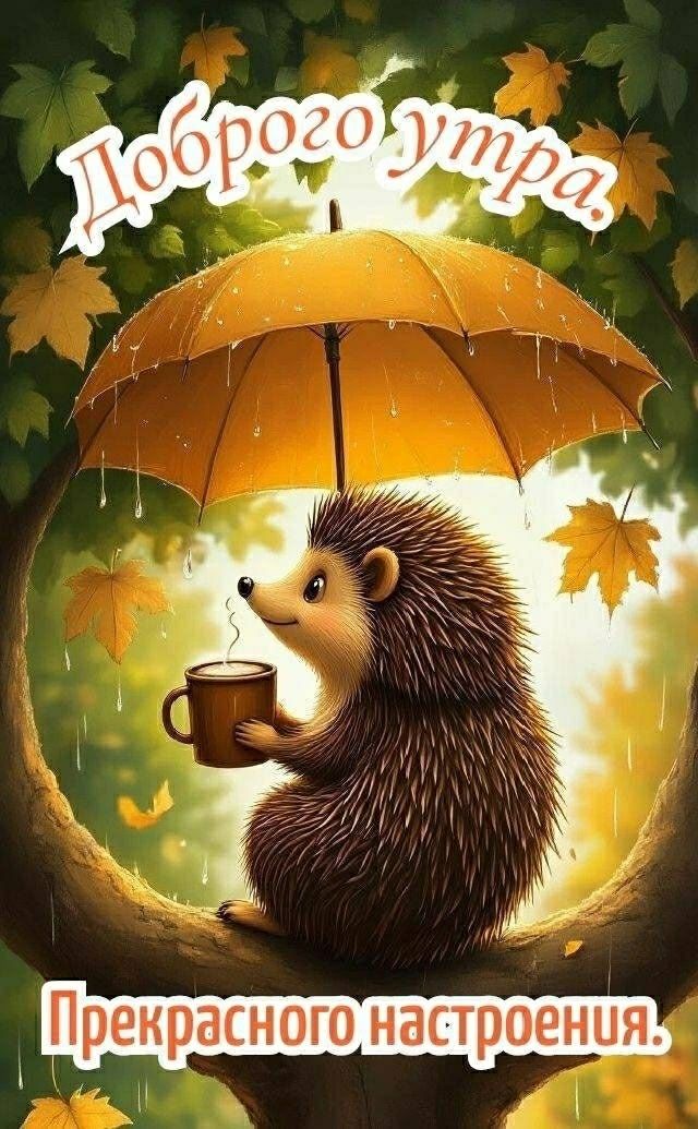 Доброе утро Прекрасного настроения.