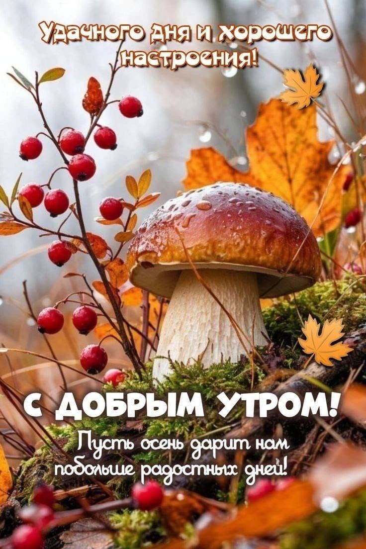Удачного дня и хорошего настроения! С ДОБРЫМ УТРОМ! Пусть осень дарит нам побольше радостных дней!
