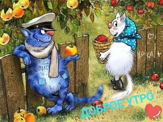 Доброе утро