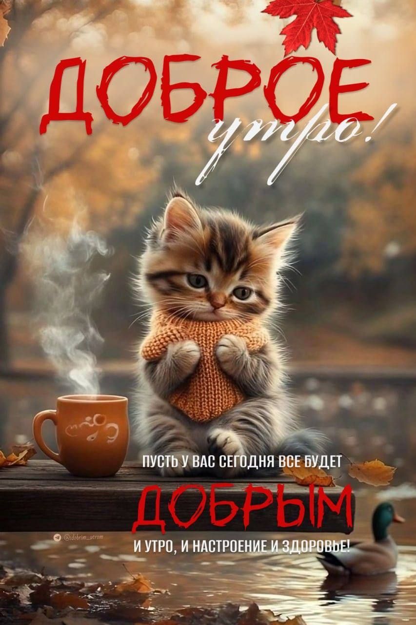 Доброе утро! Пусть у вас сегодня все будет добрым и утро, и настроение и здоровье!