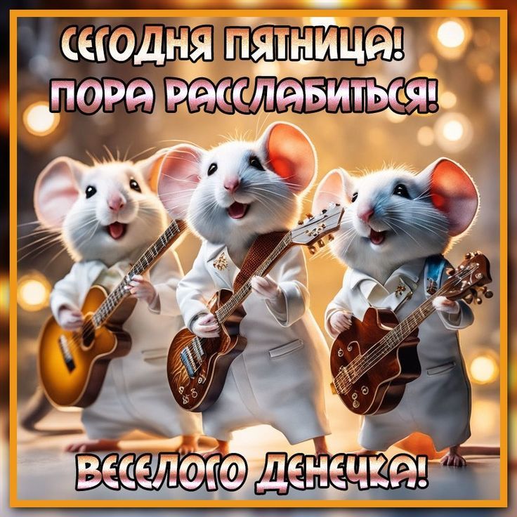 Сегодня пятница! Пора расслабиться! Веселого денечка!