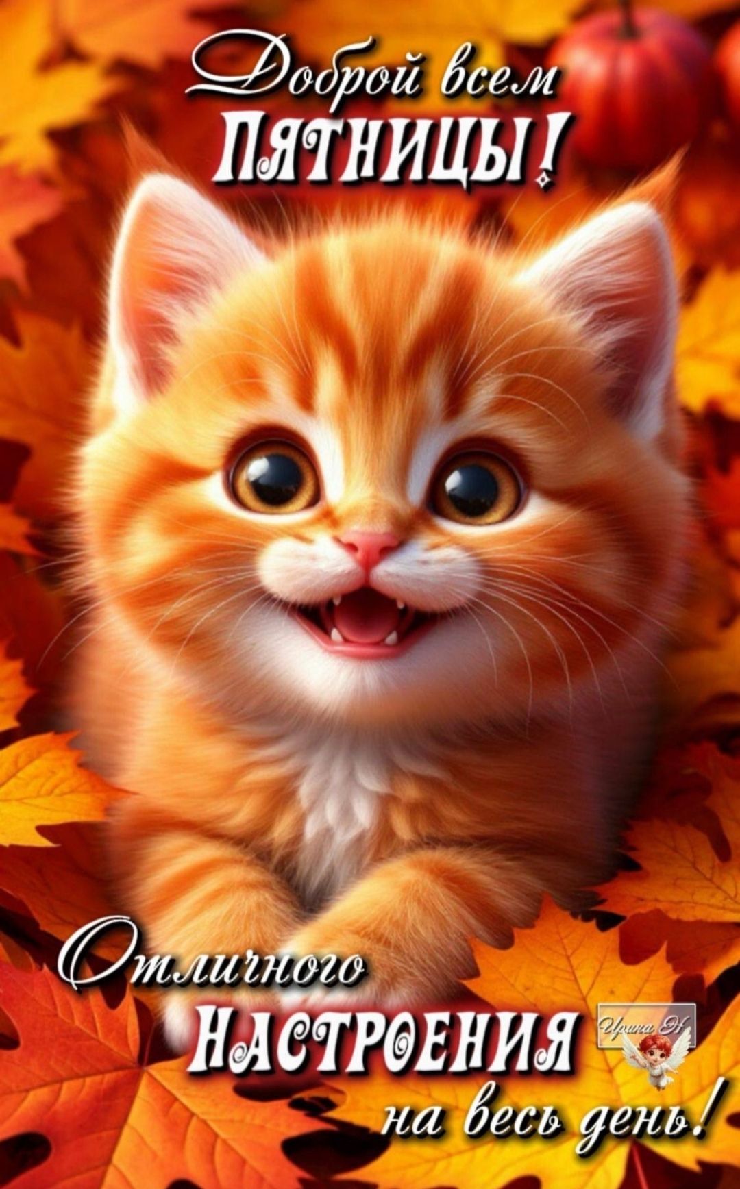 Доброй всем пятницы! Отличного настроения на весь день!