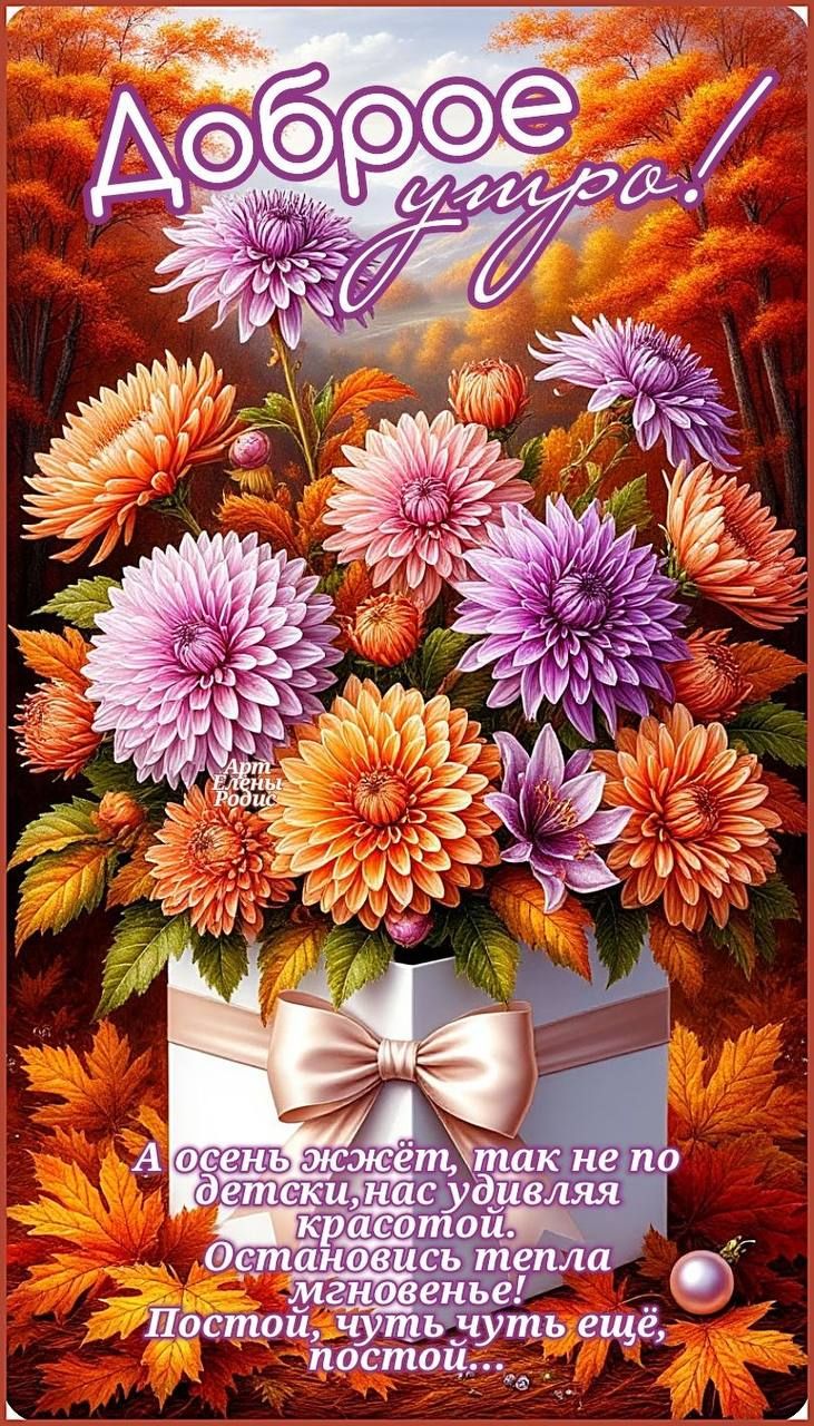 Доброе утро! А осень живет, так не по детски нас удивляла красотой. Остановись тепло мгновение! Постой, чуть чуть ещё, постой