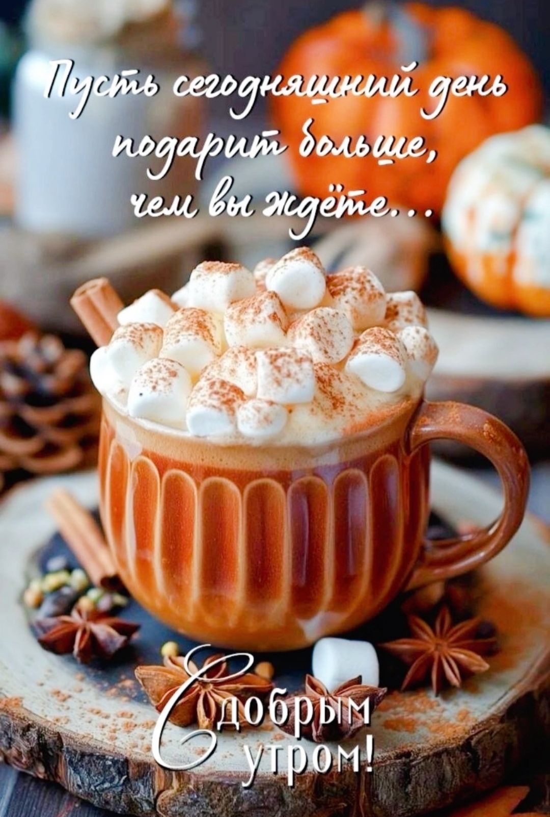 Пусть сегодняшний день подарит больше, чем вы ждёте... Добрым утром!