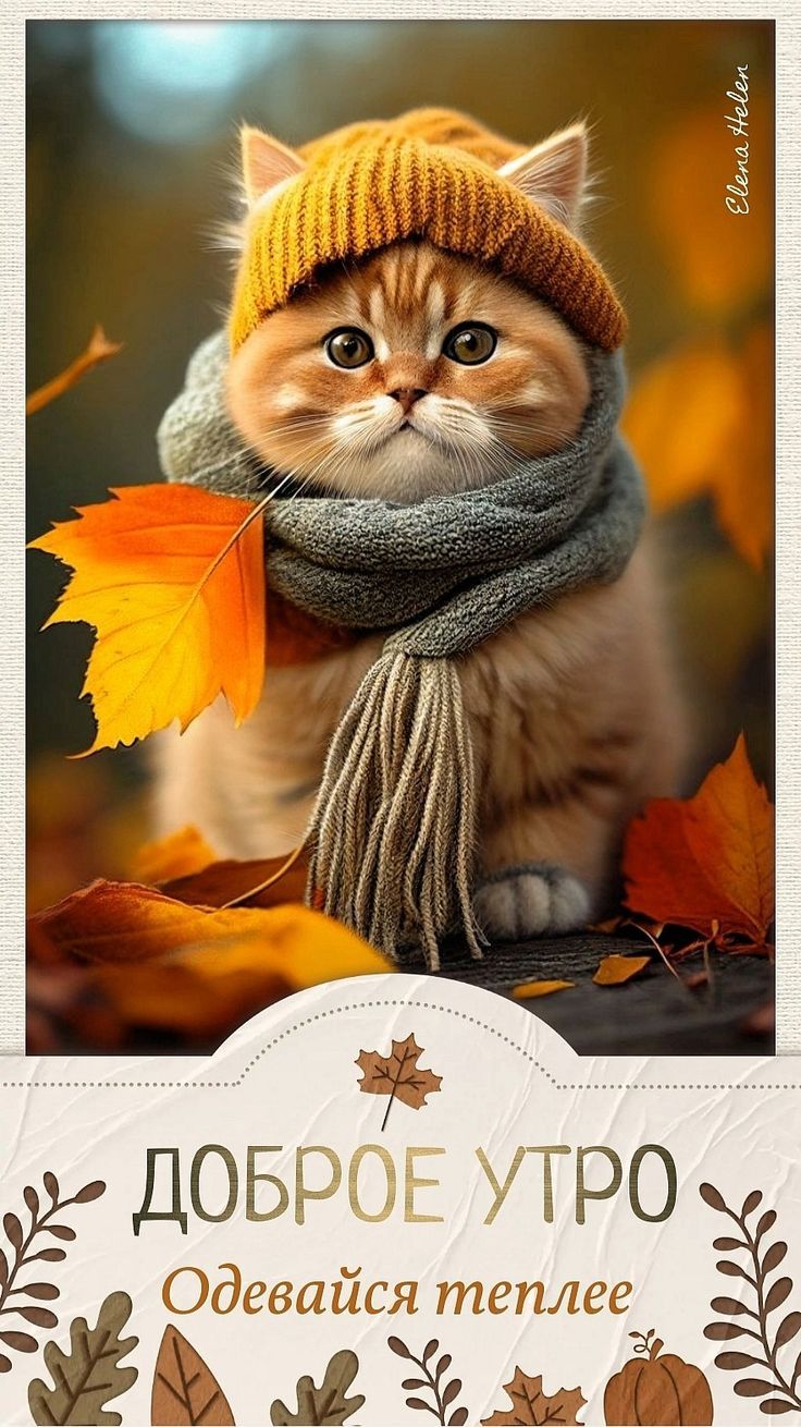 Доброе утро
Одевайся теплее