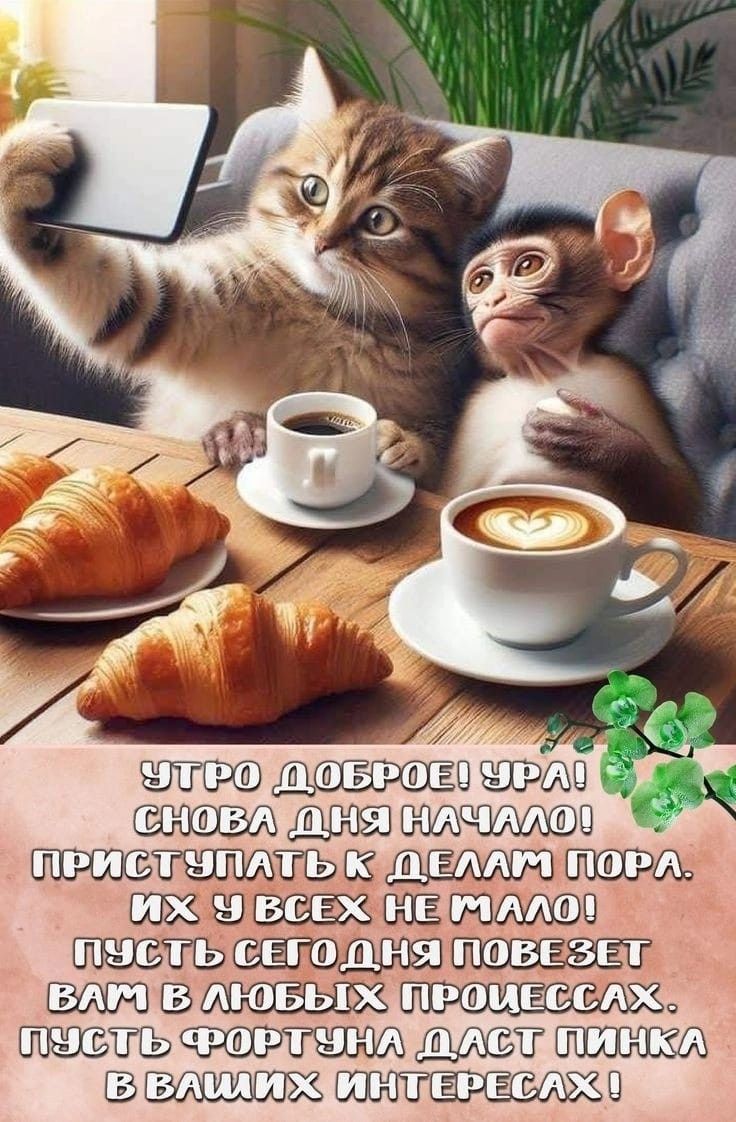 Утро, доброе! Ура! Снова день начался! Приступать к делам пора! Их у всех не мало! Пусть сегодня повезет вам в любых процессах. Пусть фортуна даст пинка в ваших интересах!