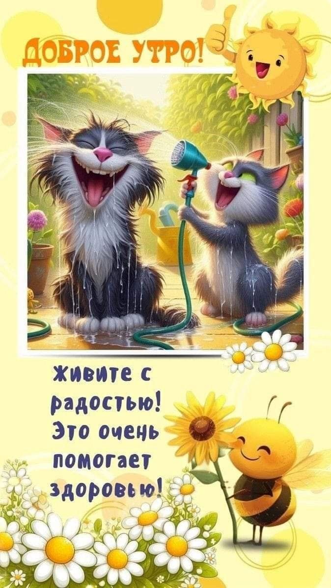 ДОБРОЕ УТРО!
живите с радостью! Это очень помогает здоровью!