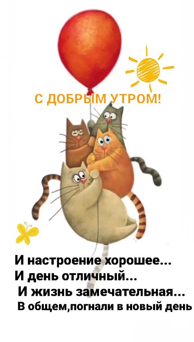 С ДОБРЫМ УТРОМ!
И настроение хорошее...
И день отличный...
И жизнь замечательная...
В общем,погнали в новый день