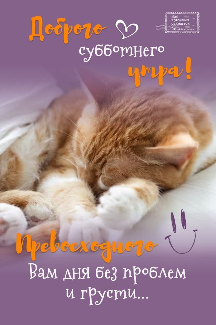 Доброе субботнее утро! Прекрасное вам дня без проблем и грусти...