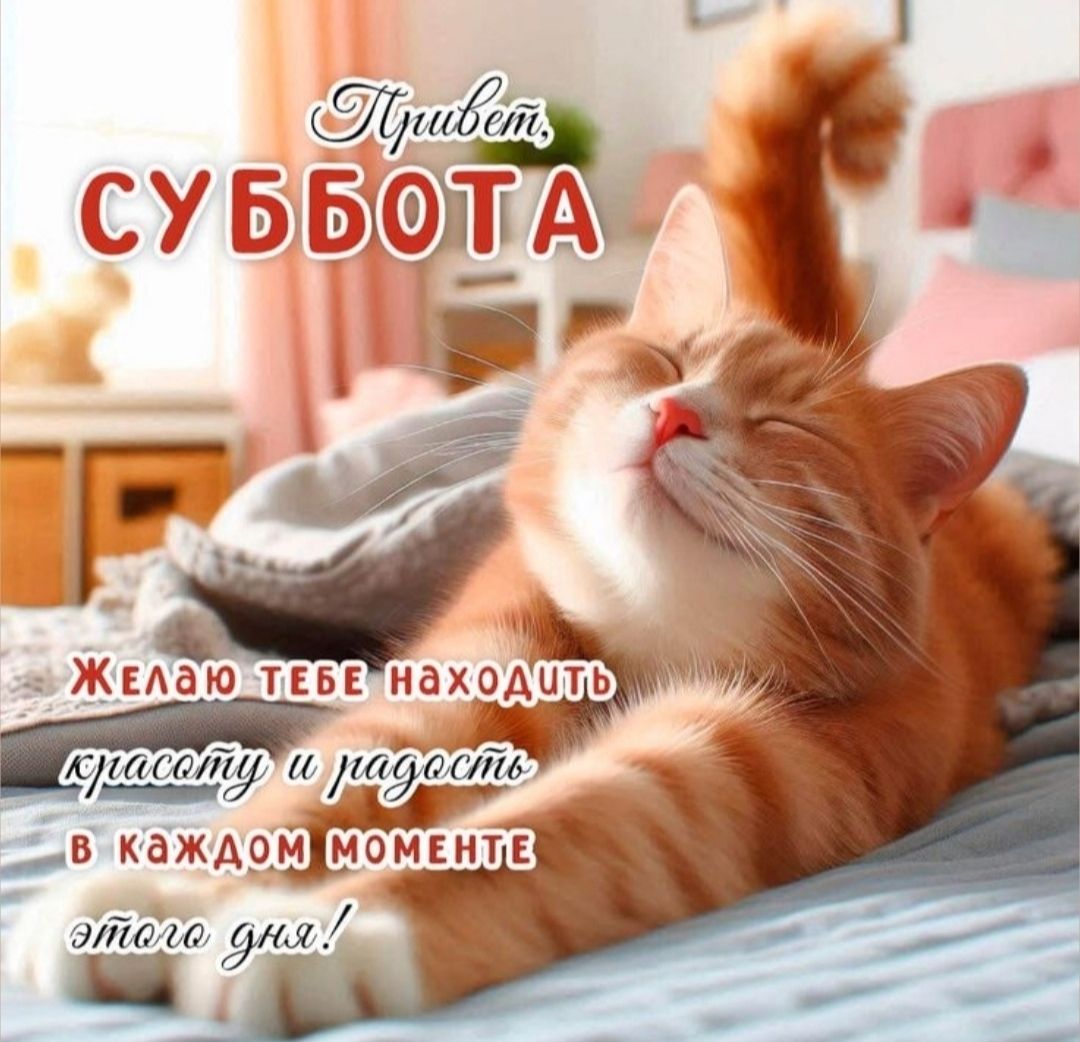 Привет СУББОТА Желаю тебе найти красоту и радость в каждом моменте этого дня!