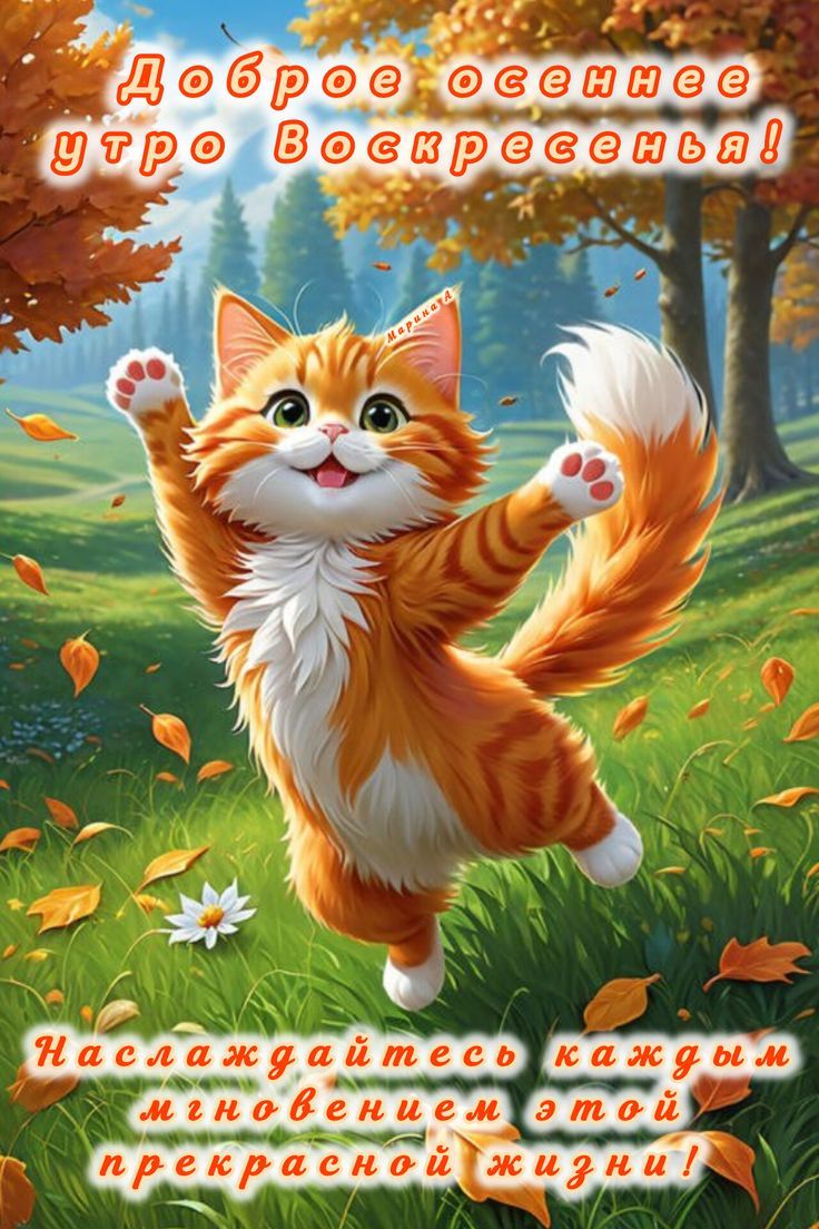 Доброе осеннее утро Воскресенья! Наслаждайтесь каждым мгновением этой прекрасной жизни!