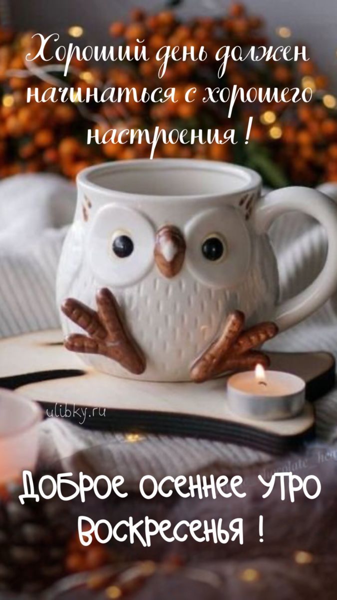 Хороший день должен начинаться с хорошего настроения! Доброе осеннее утро воскресенья!