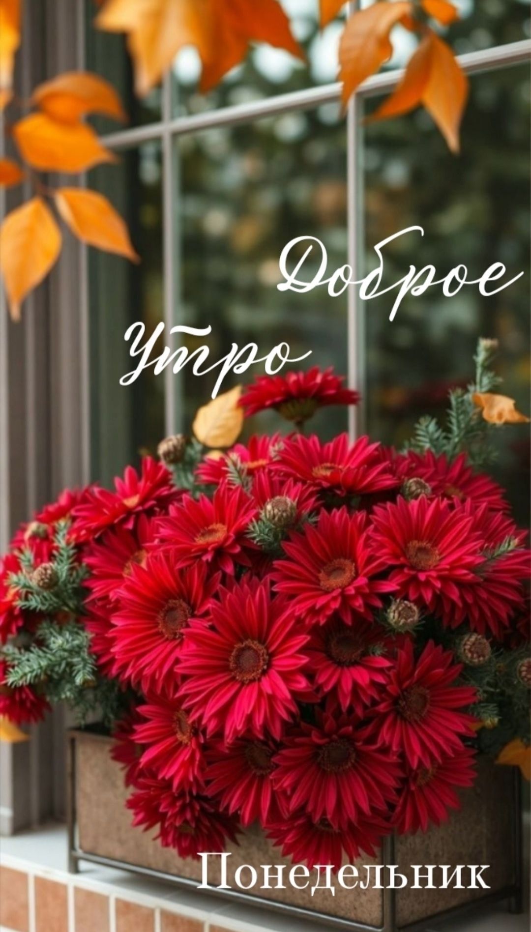 Доброе утро
Понедельник