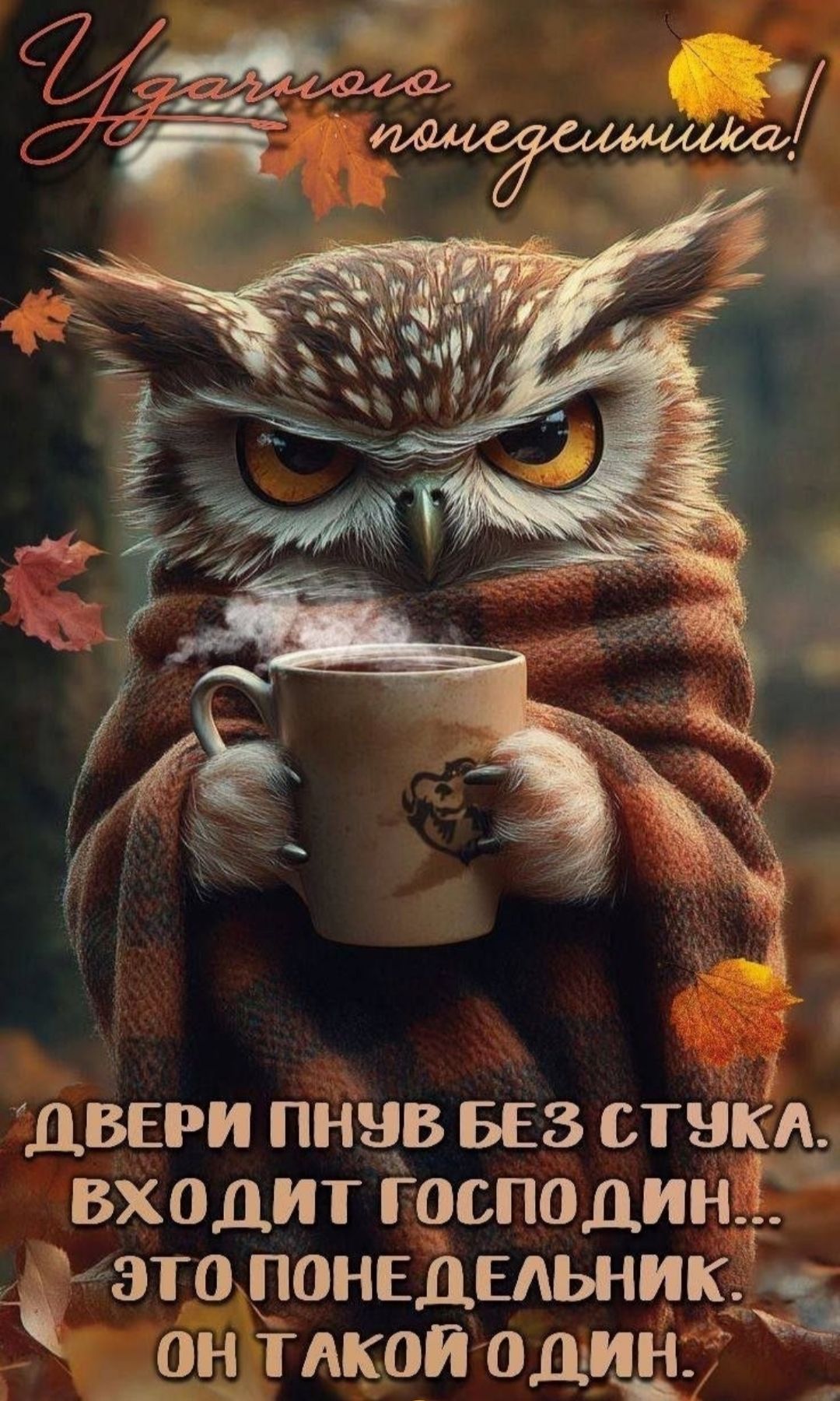 Удачного понедельника! Двери пнул без стука. Входит господин... Это понедельник. Он такой один.