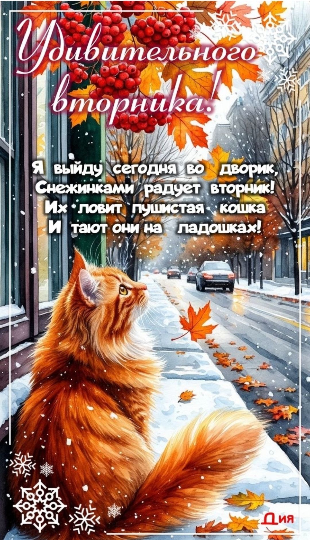 Удивительного вторника! Я выйду сегодня во дворик, снежинками радует вторник! Их ловит пушистая кошка и тают они на ладошках!