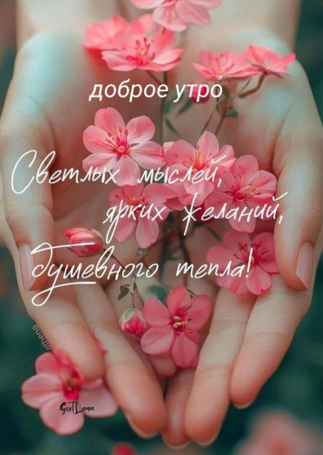 доброе утро Светлых мыслей, ярких желаний, душевного тепла!