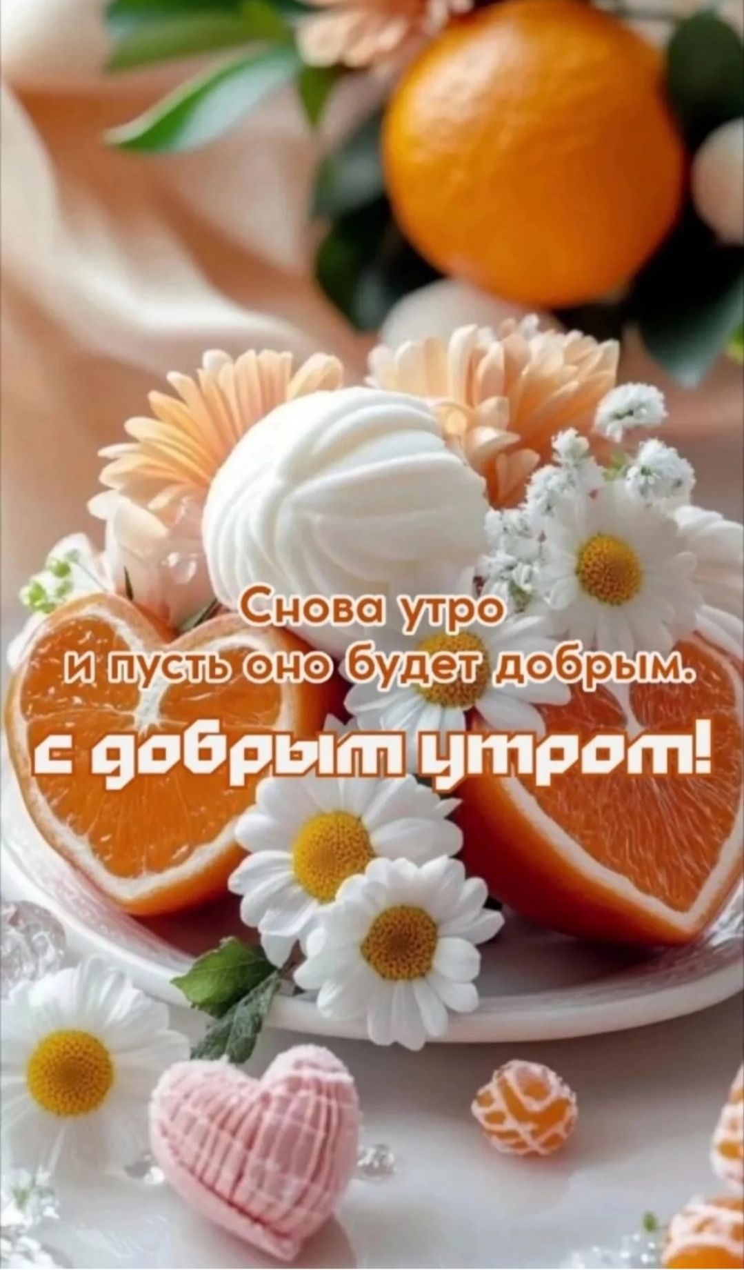 Снова утро И пусть оно будет добрым. С добрым утром!