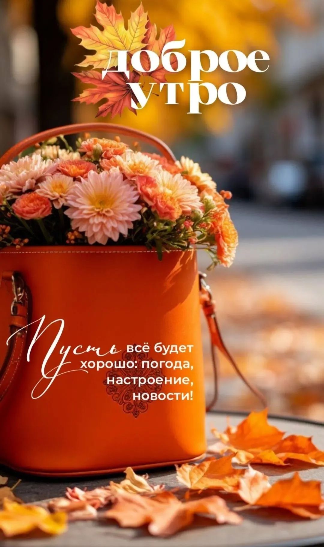 доброе утро
Пусть всё будет хорошо: погода, настроение, новости!