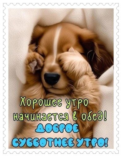 Хорошее утро начинается в обед! Доброе субботнее утро!