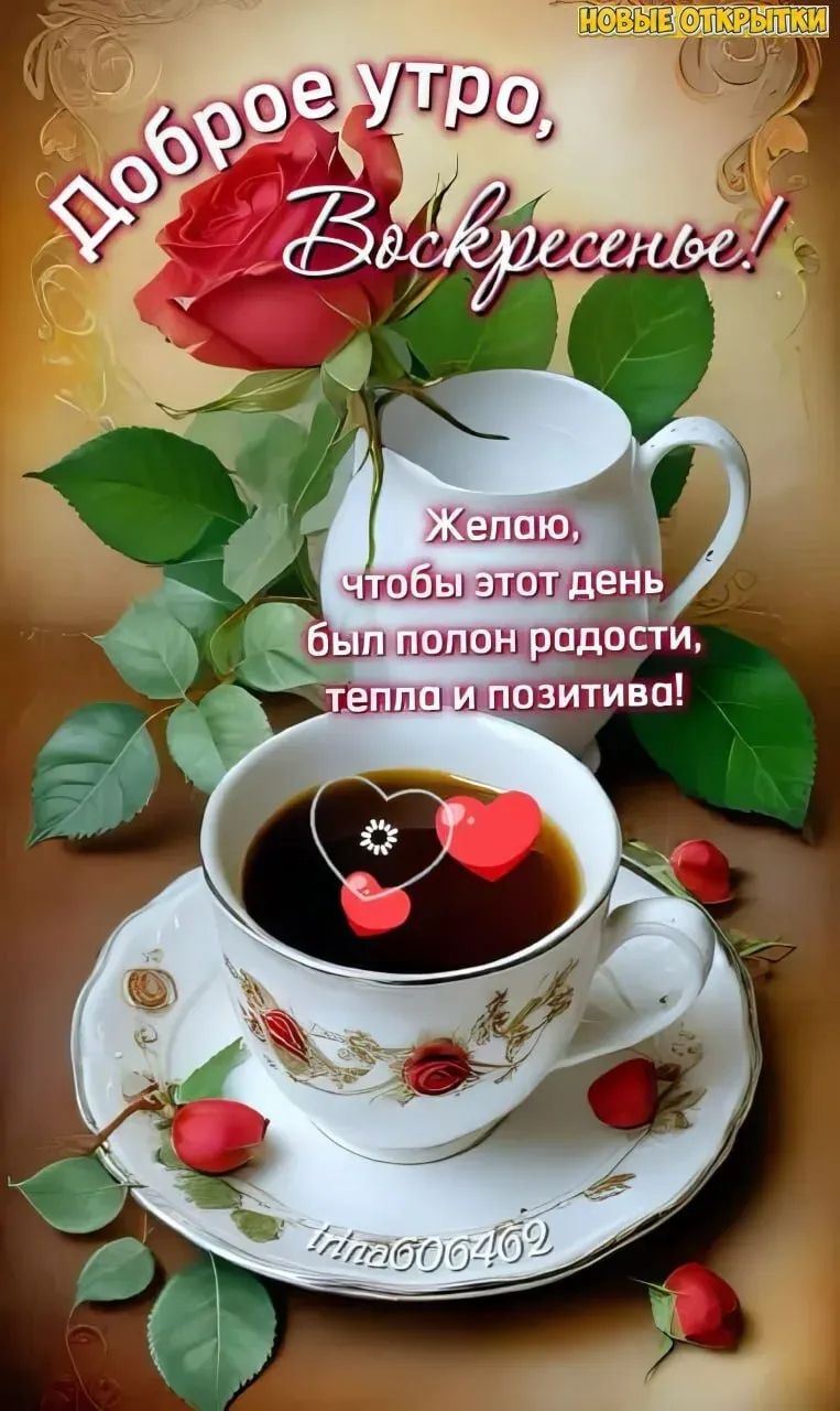 Доброе утро, Воскресенье! Желаю, чтобы этот день был полон радости, тепла и позитива!