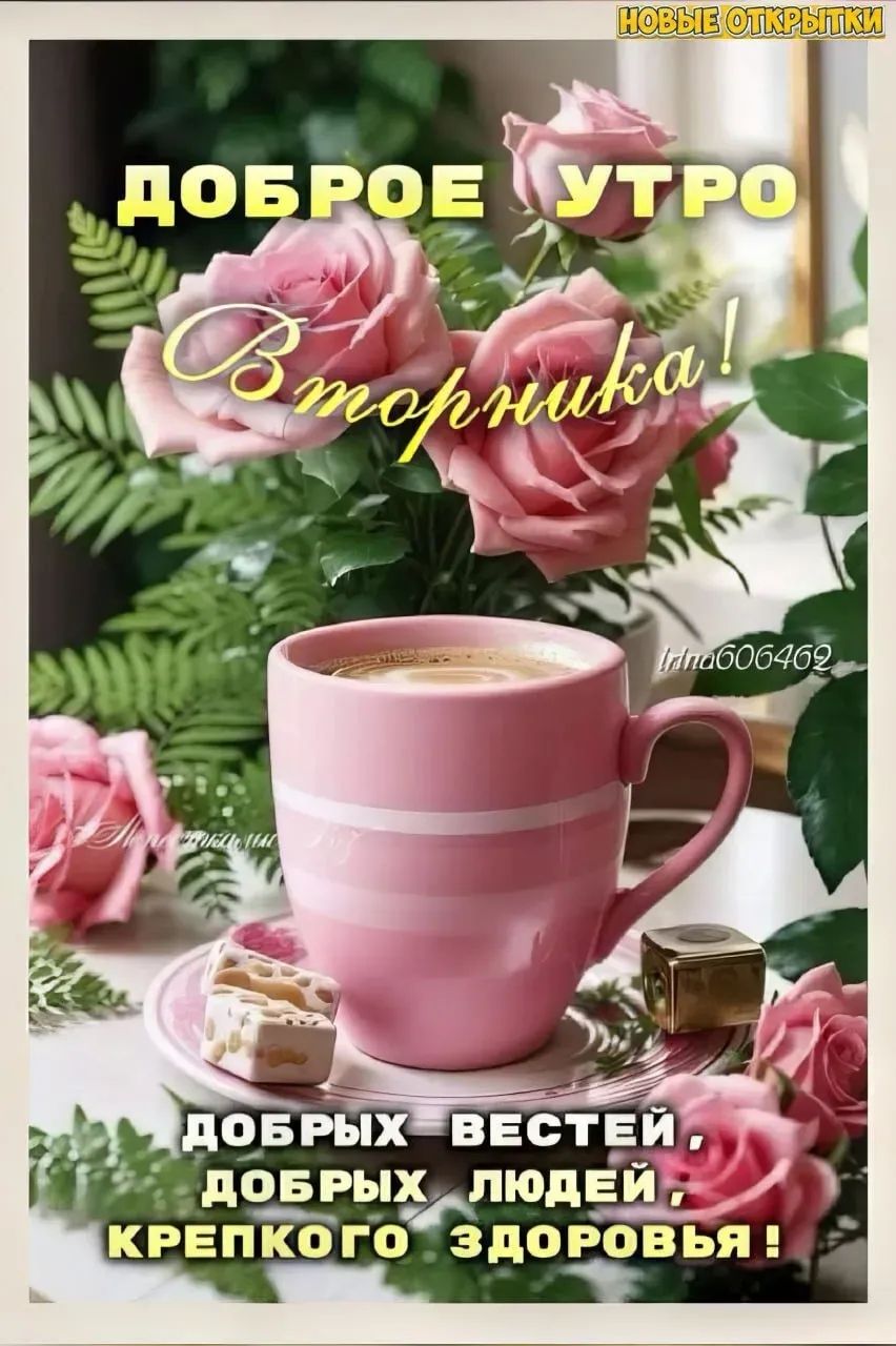 Доброе утро, Вторник! Добрых вестей, добрых людей, крепкого здоровья!