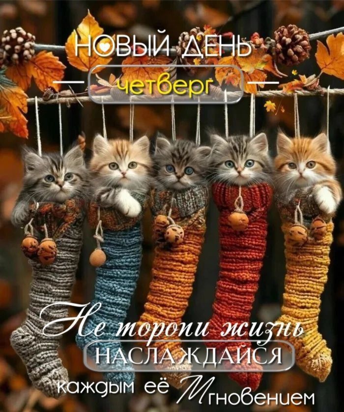 НОВЫЙ ДЕНЬ четверг
Не торопи жизнь наслаждайся каждым её мгновением