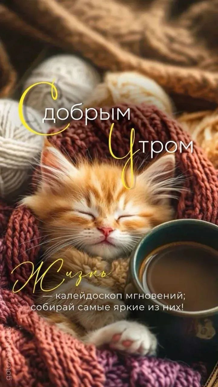 С добрым утром
Жизнь — калейдоскоп мгновений; собирай самые яркие из них!