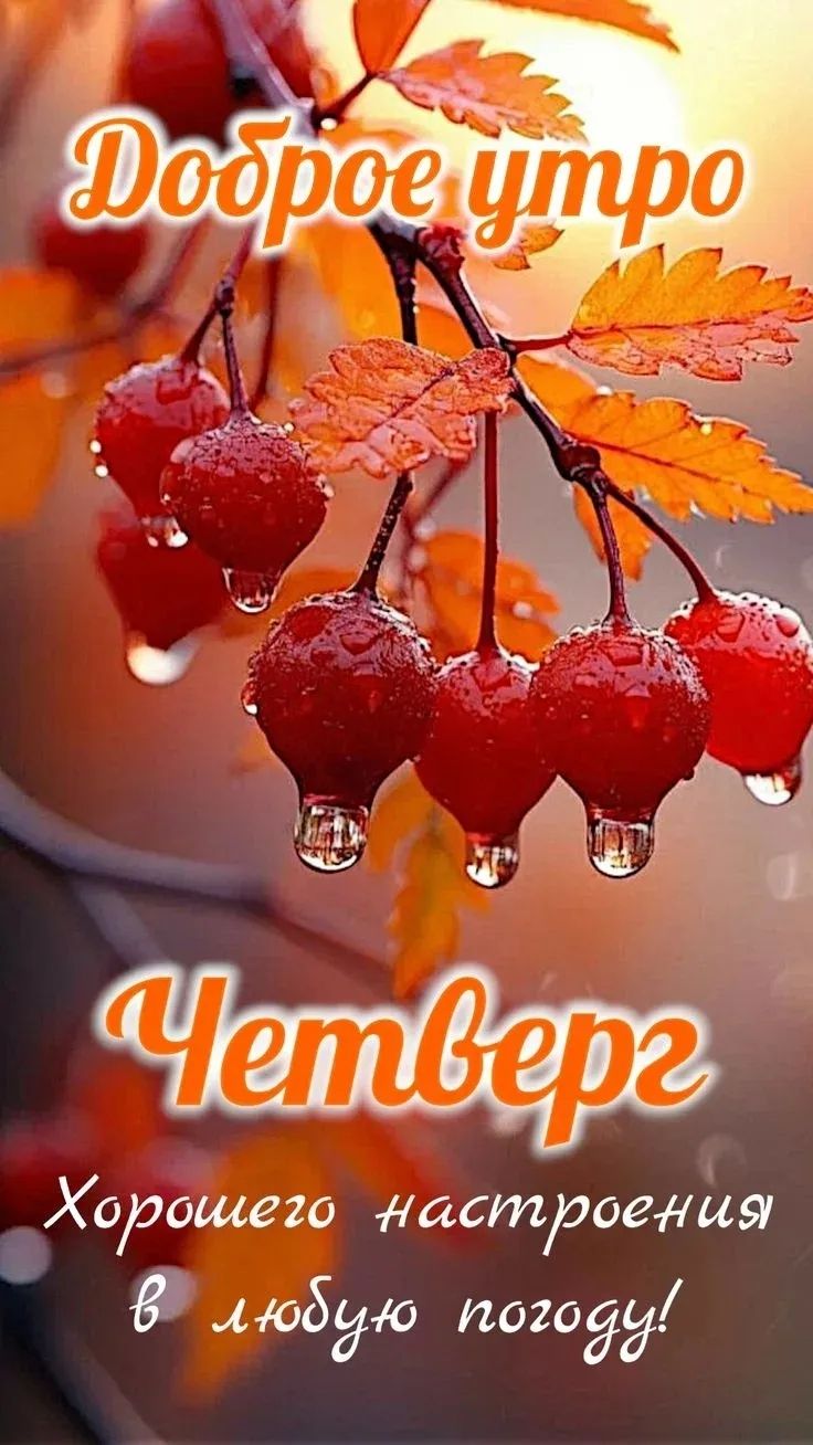 Доброе утро\nЧетверг\nХорошего настроения в любую погоду!