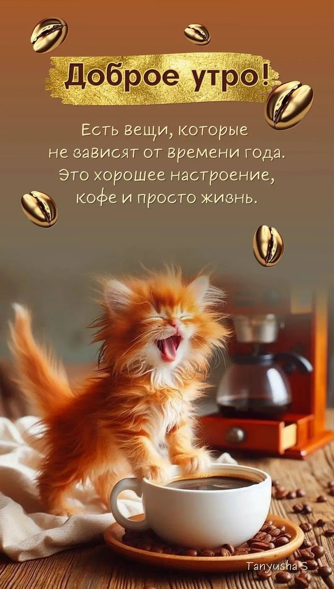 Доброе утро! Есть вещи, которые не зависят от времени года. Это хорошее настроение, кофе и просто жизнь.