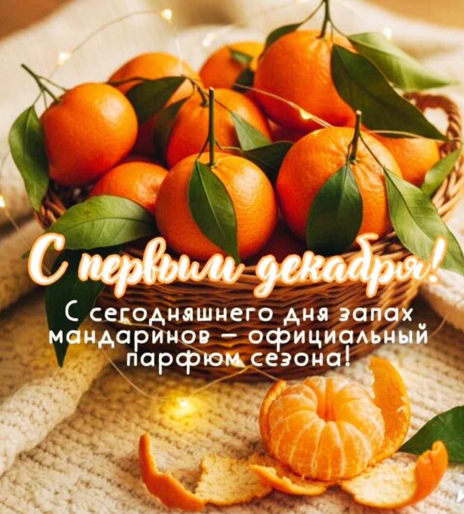 С первыми декабрём! С сегодняшнего дня запах мандаринов – офицальный парфюмом сезона!