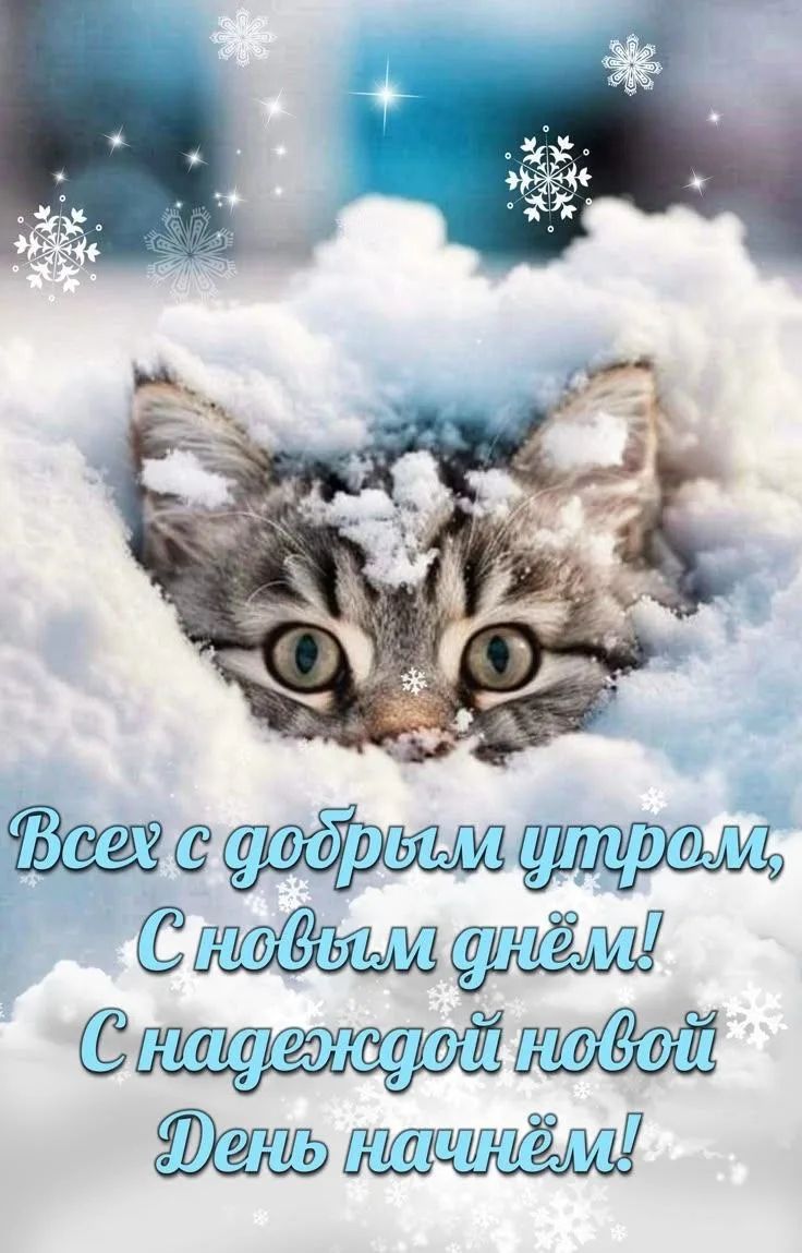 Всех с добрым утром, С новым днём! С надеждой новой День начнём!