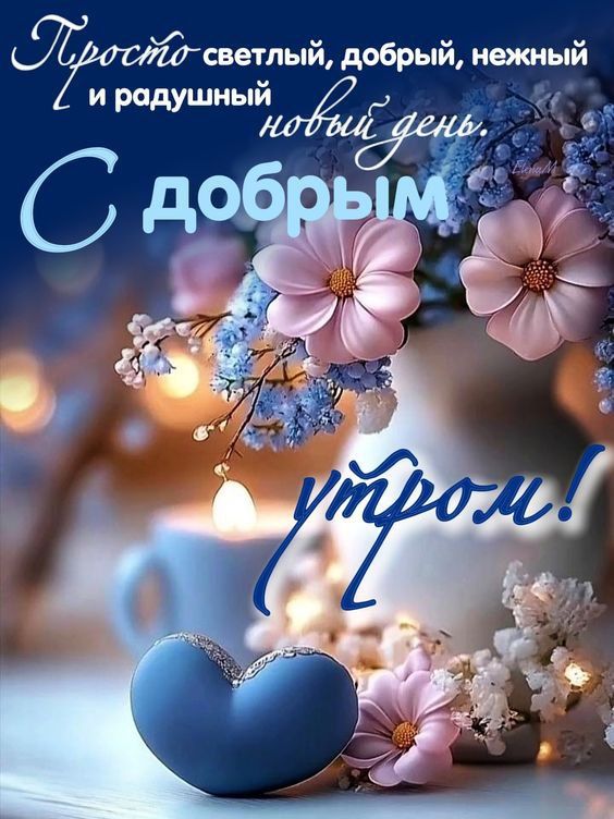 Просто светлый, добрый, нежный и радушный новый день. С добрым утром!