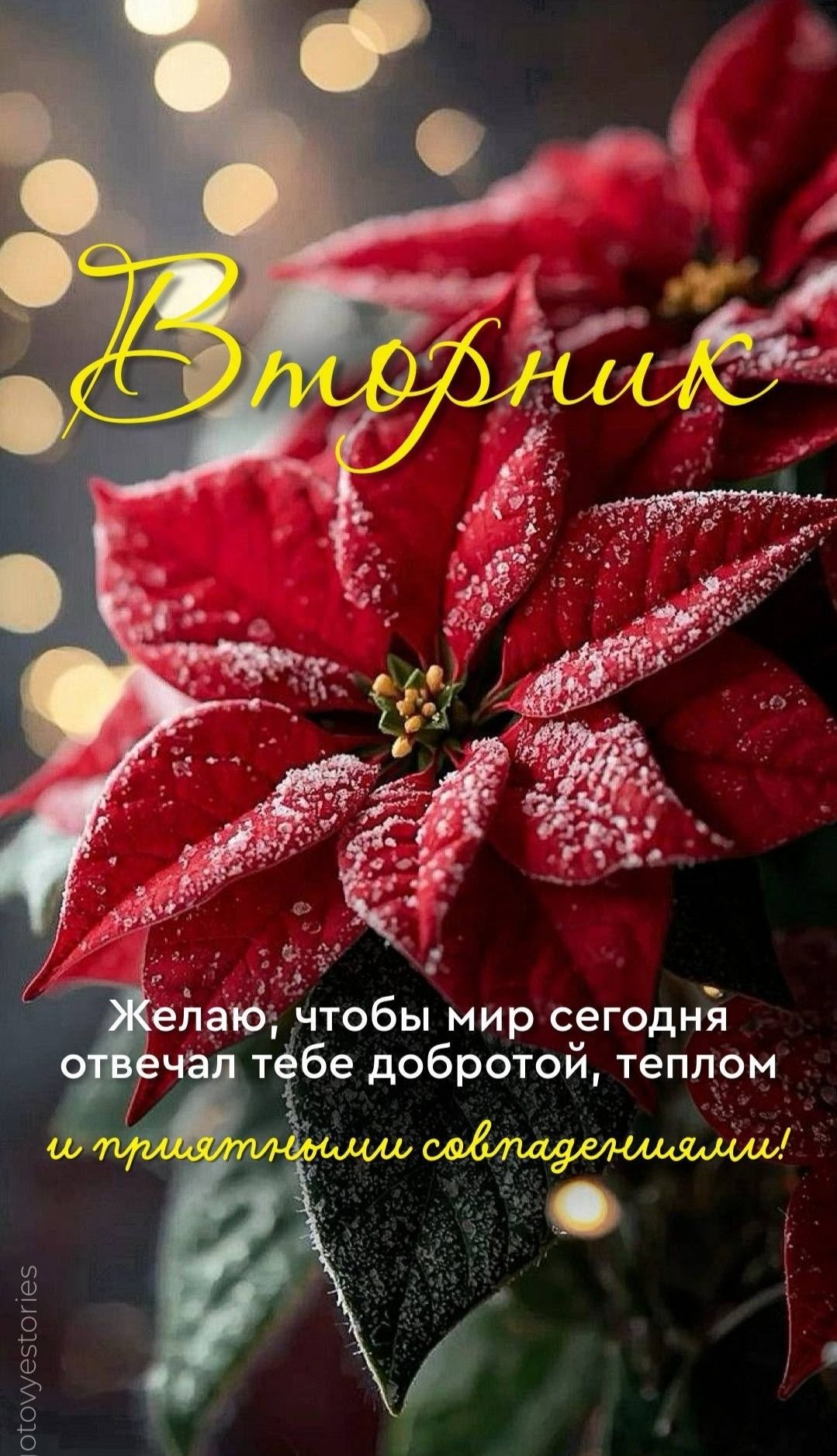 Вторник. Желаю, чтобы мир сегодня отвечал тебе добротой, теплом и приятными совпадениями!