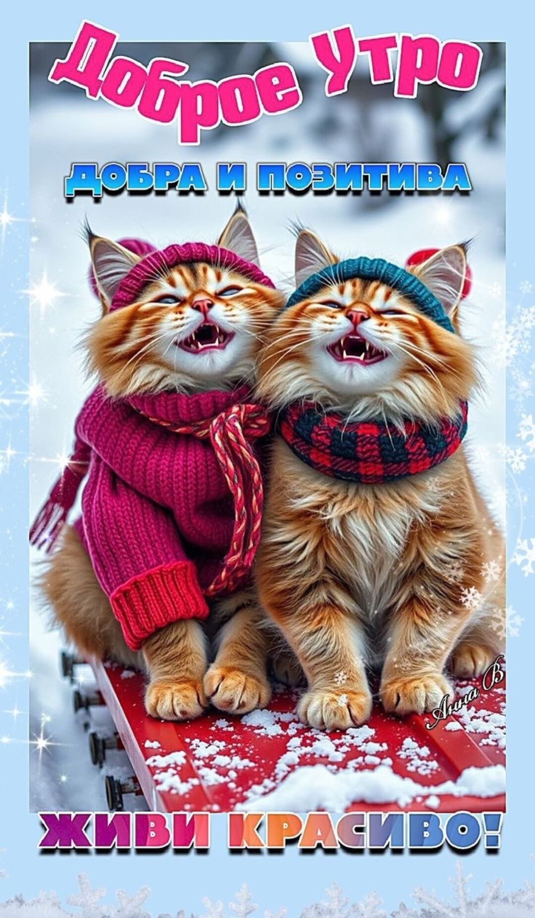 Доброе утро
добра и позитива
Живи красиво!