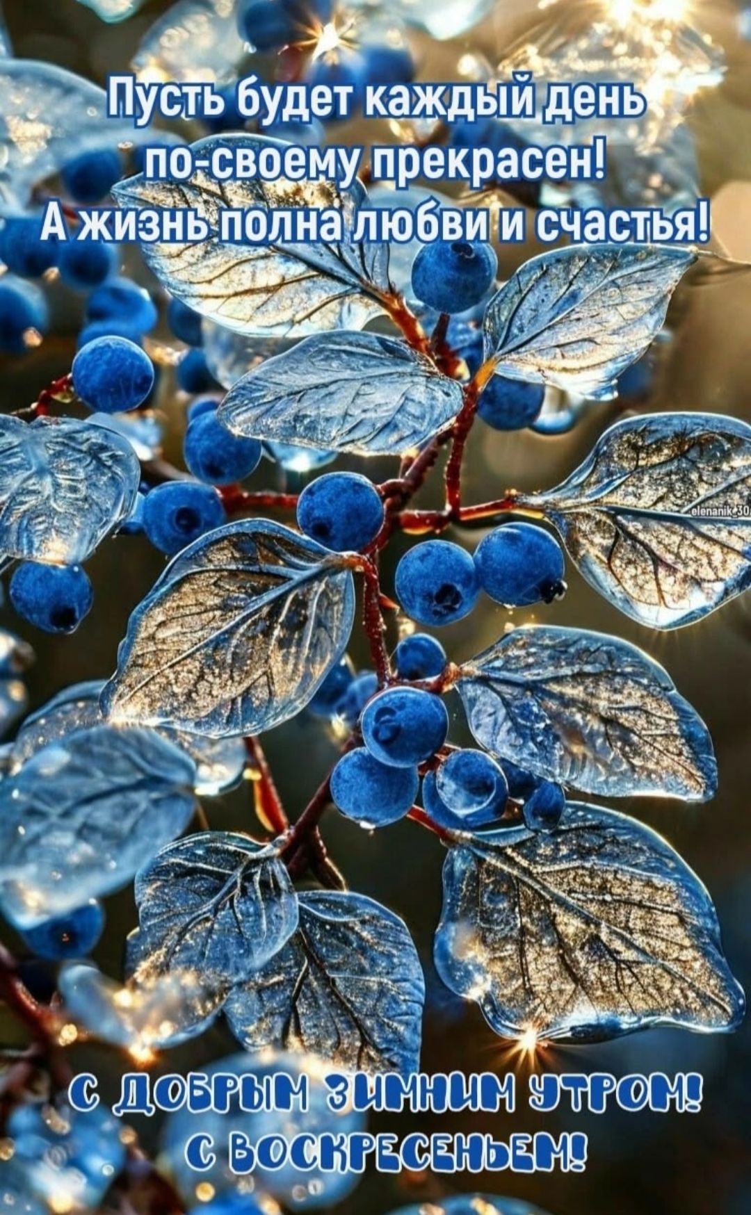 Пусть будет каждый день по-своему прекрасен! А жизнь полна любви и счастья! С добрым зимним утром! С воскресеньем!