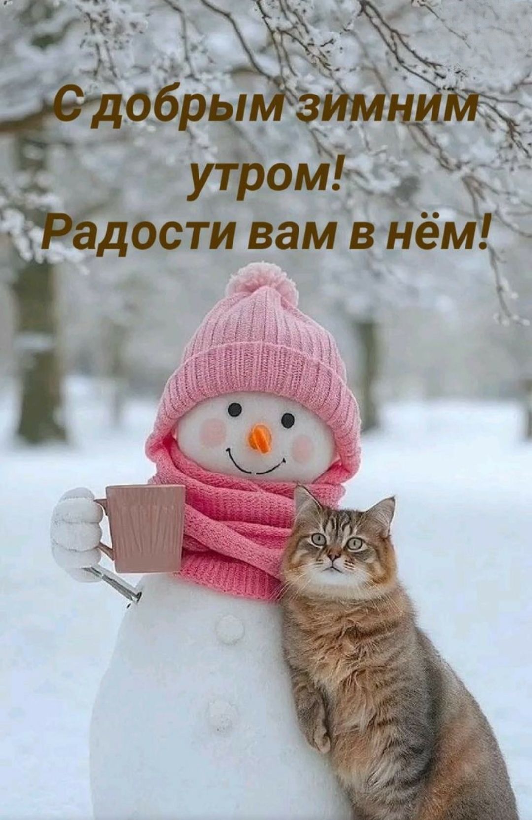 С добрым зимним утром! Радости вам в нём!