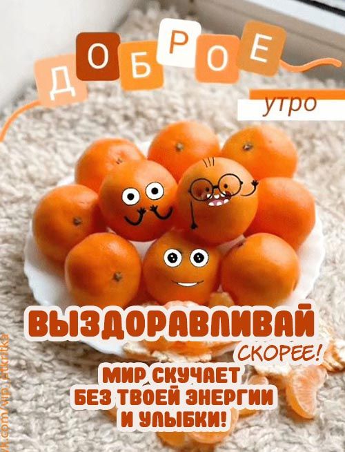 ДОБРОЕ УТРО. ВЫЗДОРАВЛИВАЙ СКОРЕЕ! МИР СКУЧАЕТ БЕЗ ТВОЕЙ ЭНЕРГИИ И УЛЫБКИ!