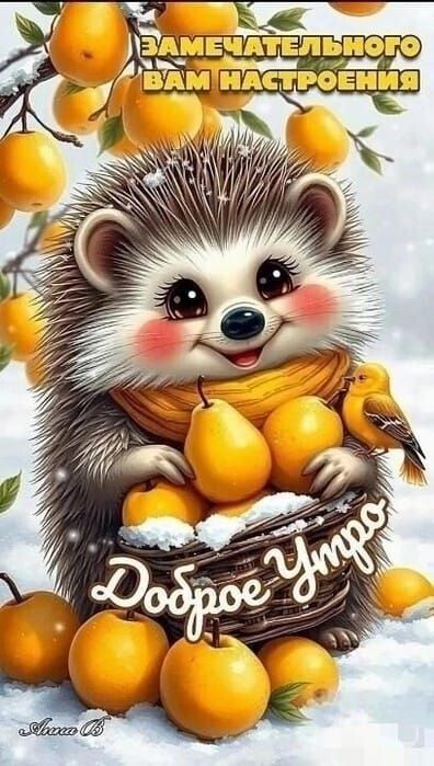 Замечательного вам настроения
Доброе утро