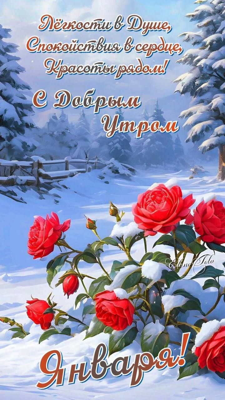 Лёгкости в душе, Спокойствия в сердце, Красоты рядом! С Добрым Утром Января!