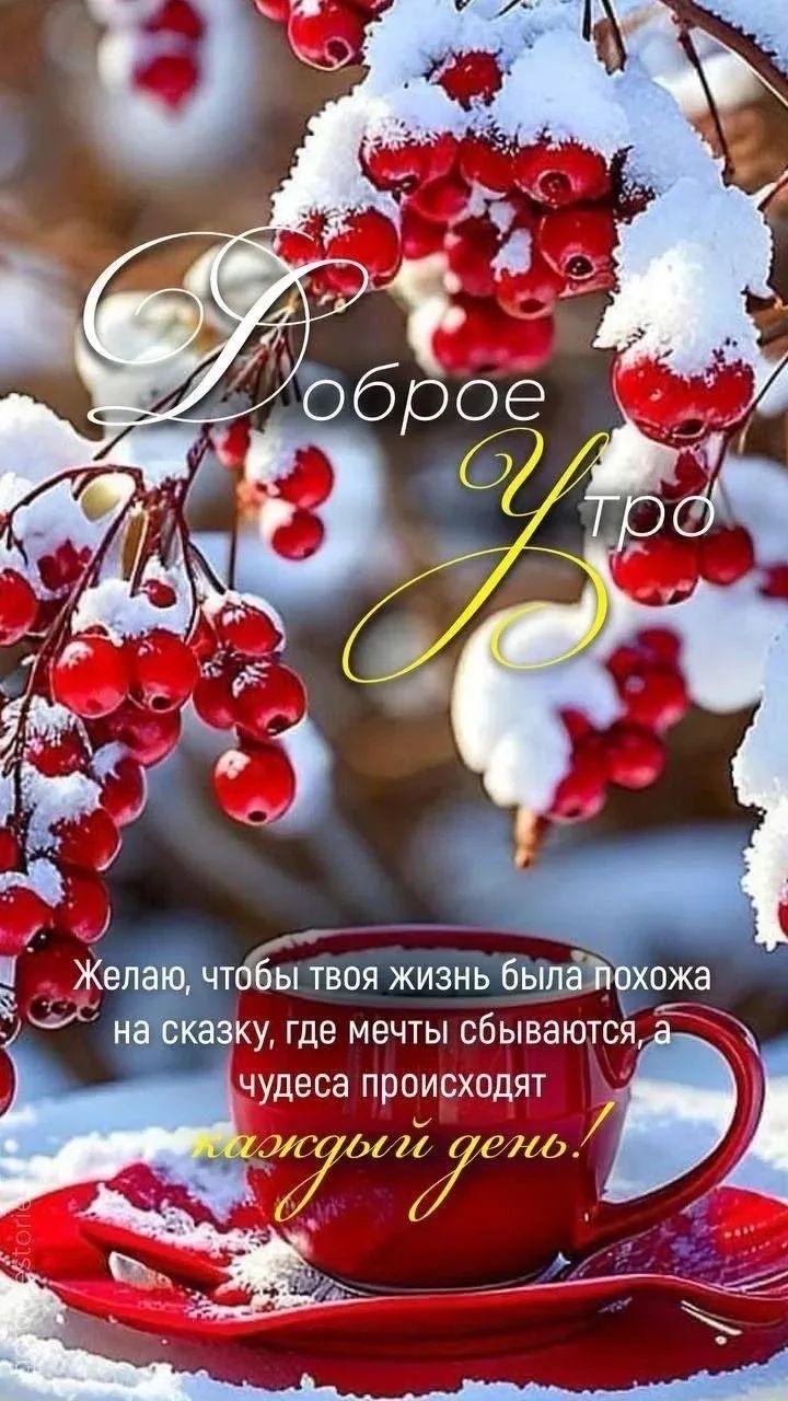 Доброе Утро
Желаю, чтобы твоя жизнь была похожа на сказку, где мечты сбываются, а чудеса происходят каждый день!