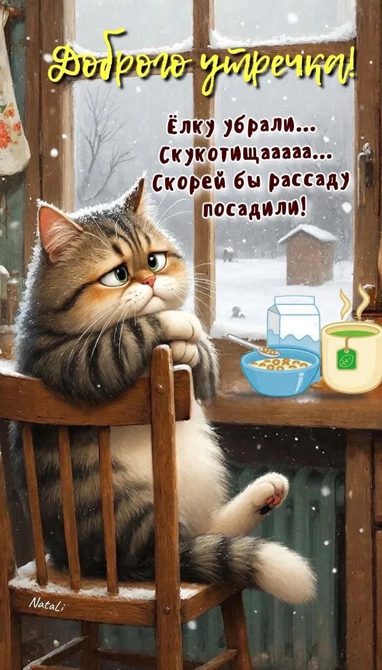 Доброго утречка! Ёлку убрали... Скукотищааа... Скорей бы расcад посадили!