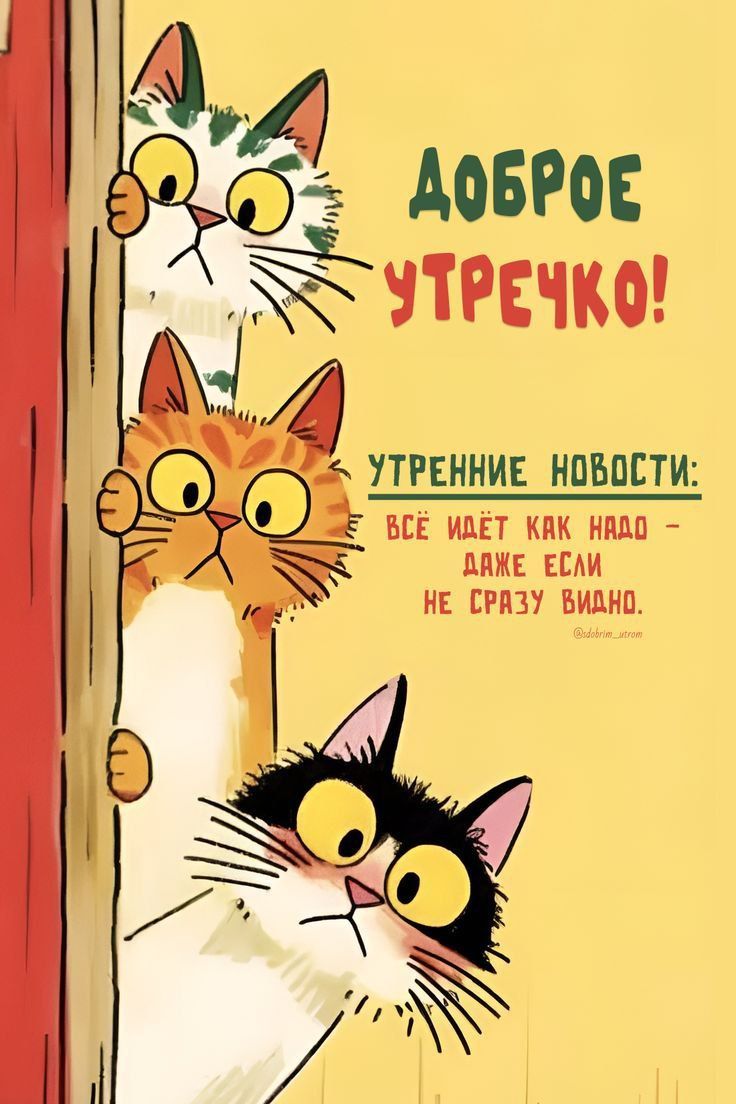 Доброе утречко! Утренние новости: всё идёт как надо — даже если не сразу видно.