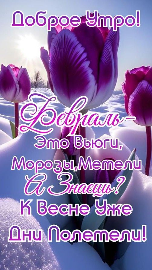 Доброе утро! Февраль — Это Вьюги, Морозы, Метели. А знаешь? К весне уже дни полетели!